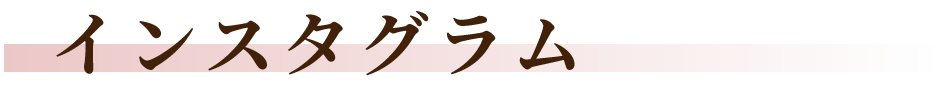 インスタグラム